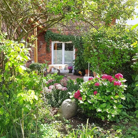 Charmante In Mit Terrasse Und Grill Appartamento Dassow